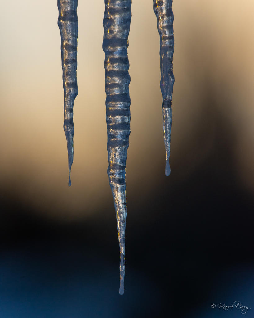 D72_5737.jpg