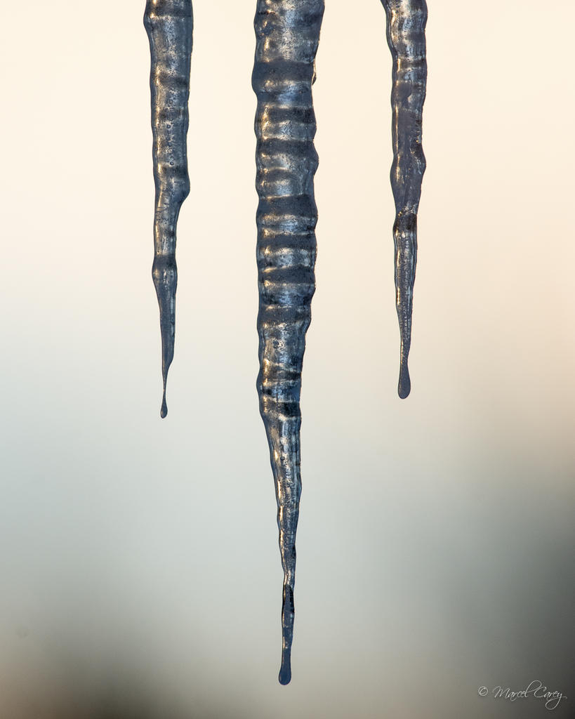 D72_5744.jpg
