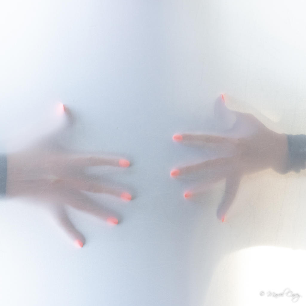 D72_5799.jpg