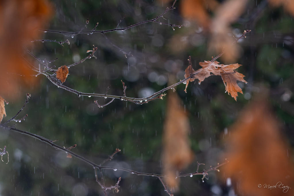 D72_5812.jpg