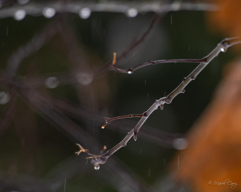 D72_5813.jpg