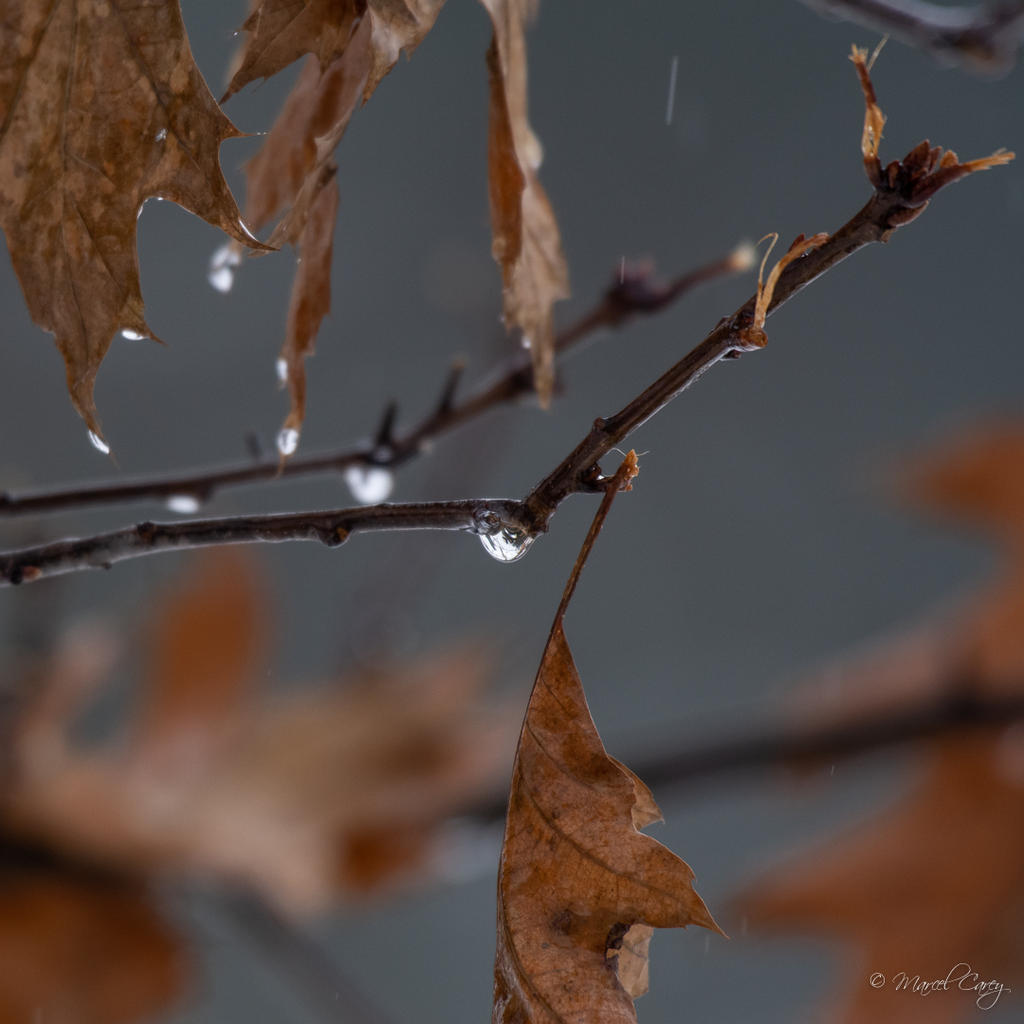 D72_5822.jpg