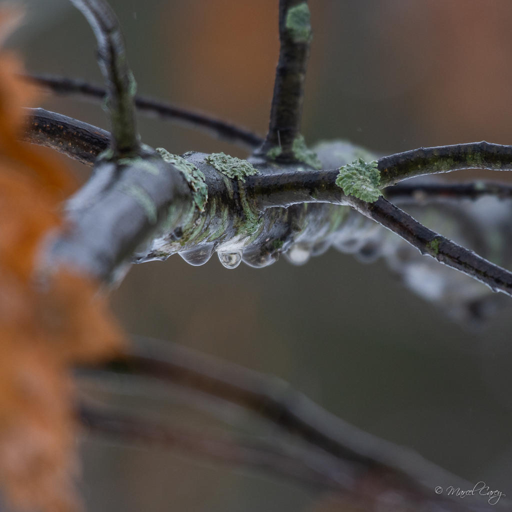 D72_5829.jpg