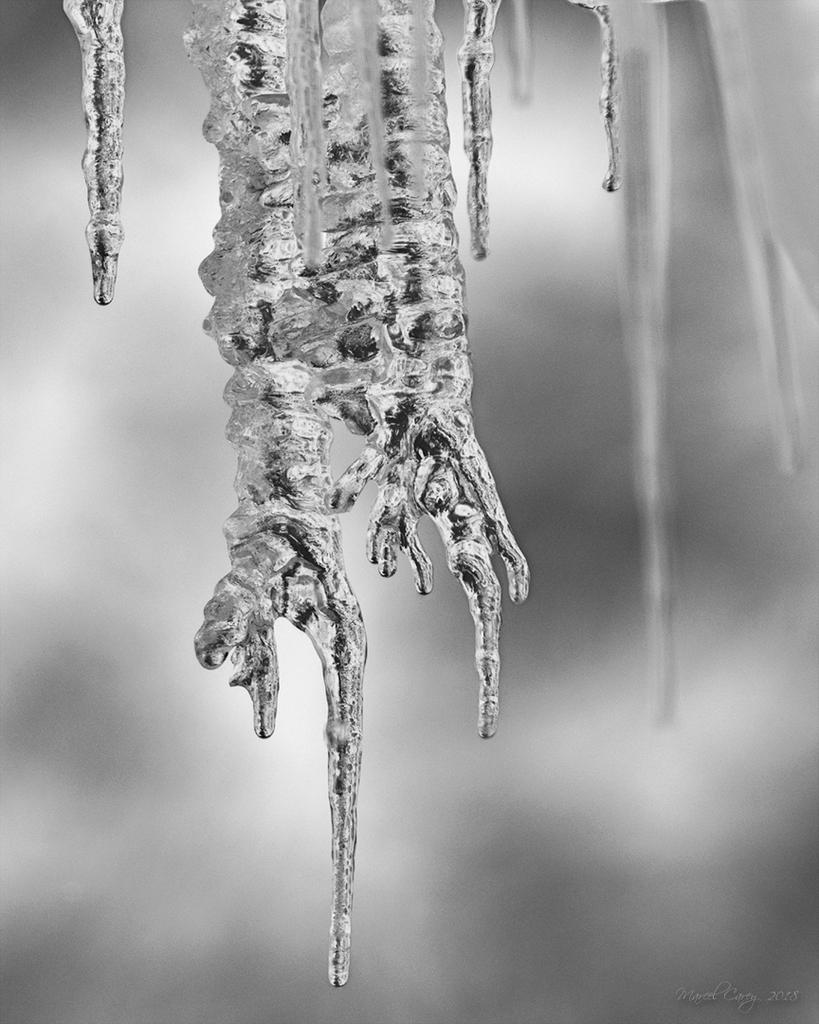 D72_5836.jpg