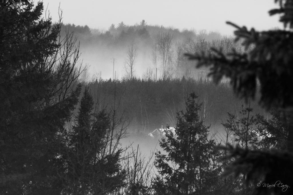 D72_5891.jpg
