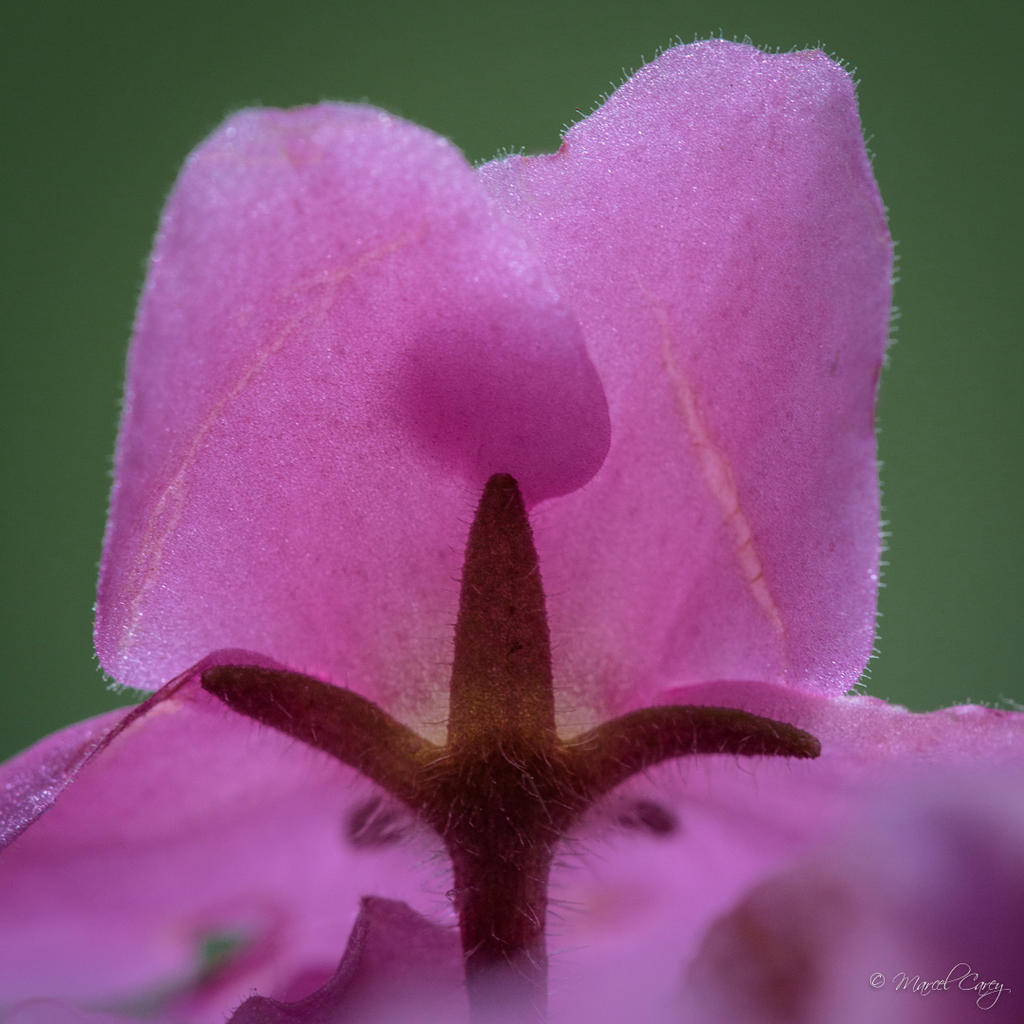 D72_6560-Modifier.jpg