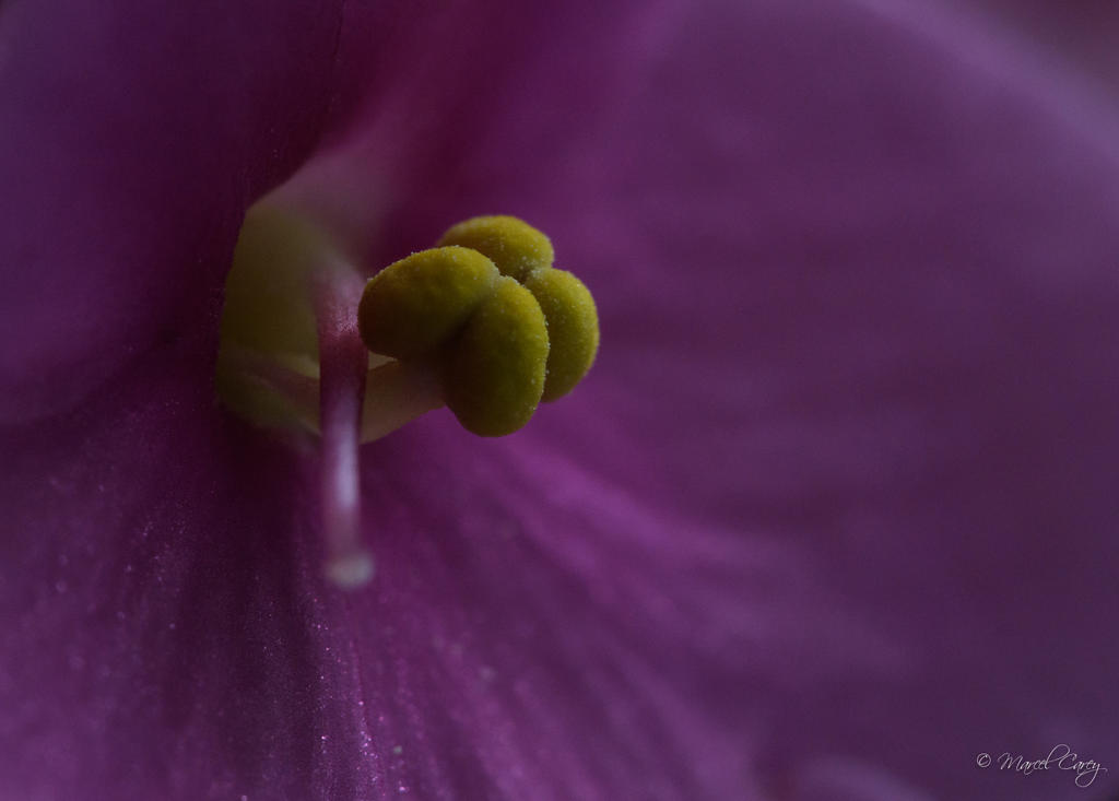 D72_6573.jpg