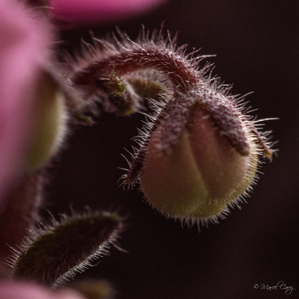 D72_6582.jpg