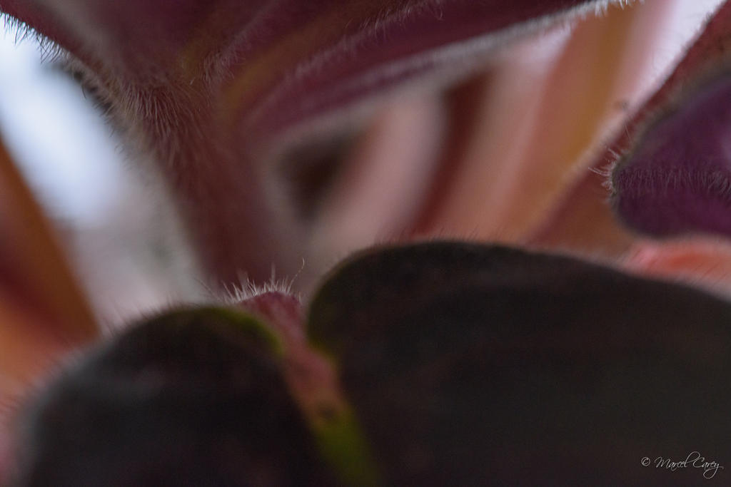 D72_6601.jpg