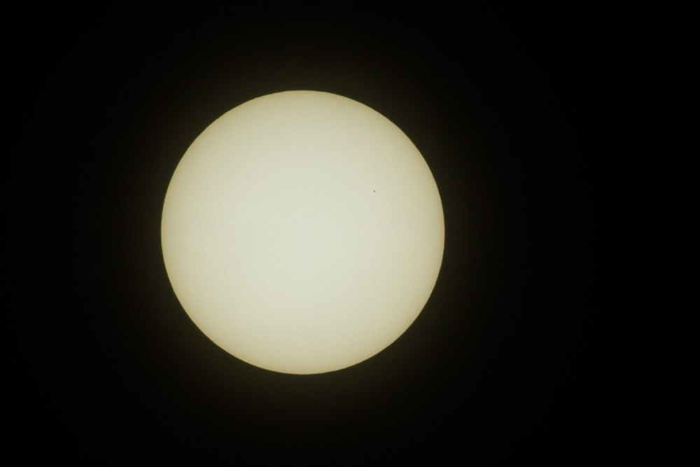 D72_7220.jpg