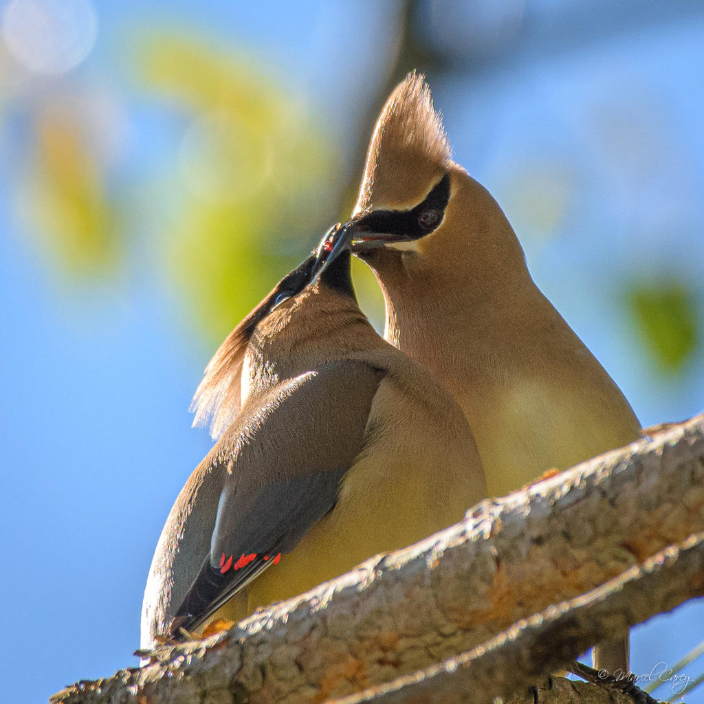 D72_7539.jpg