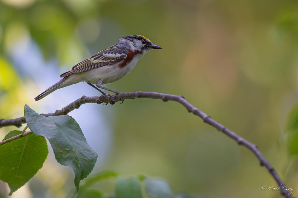 D72_7754.jpg