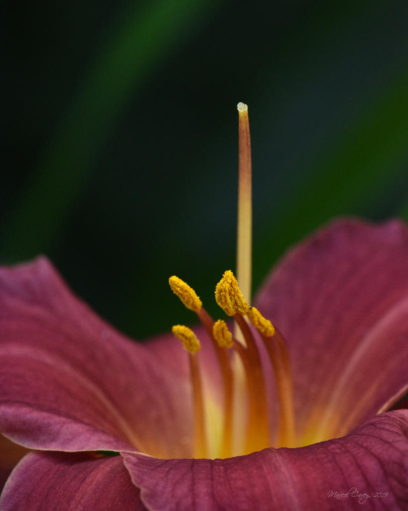 D72_8030.jpg