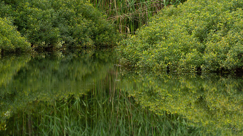 D72_8078.jpg
