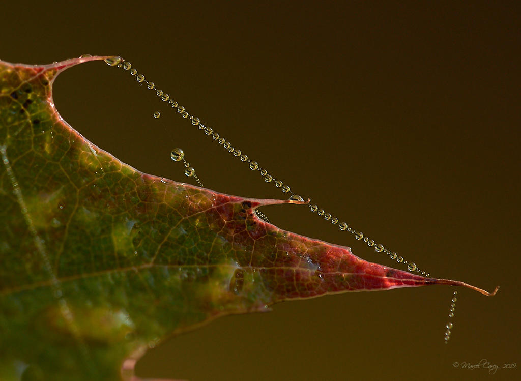 D72_8396.jpg