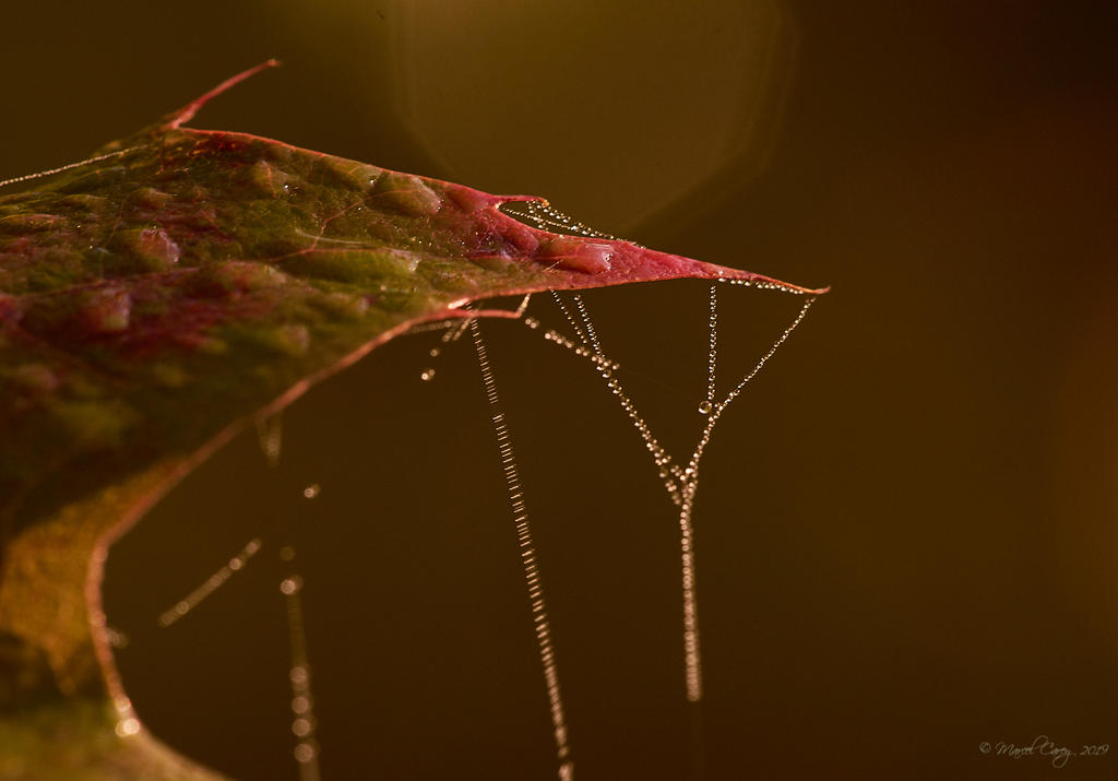 D72_8417.jpg