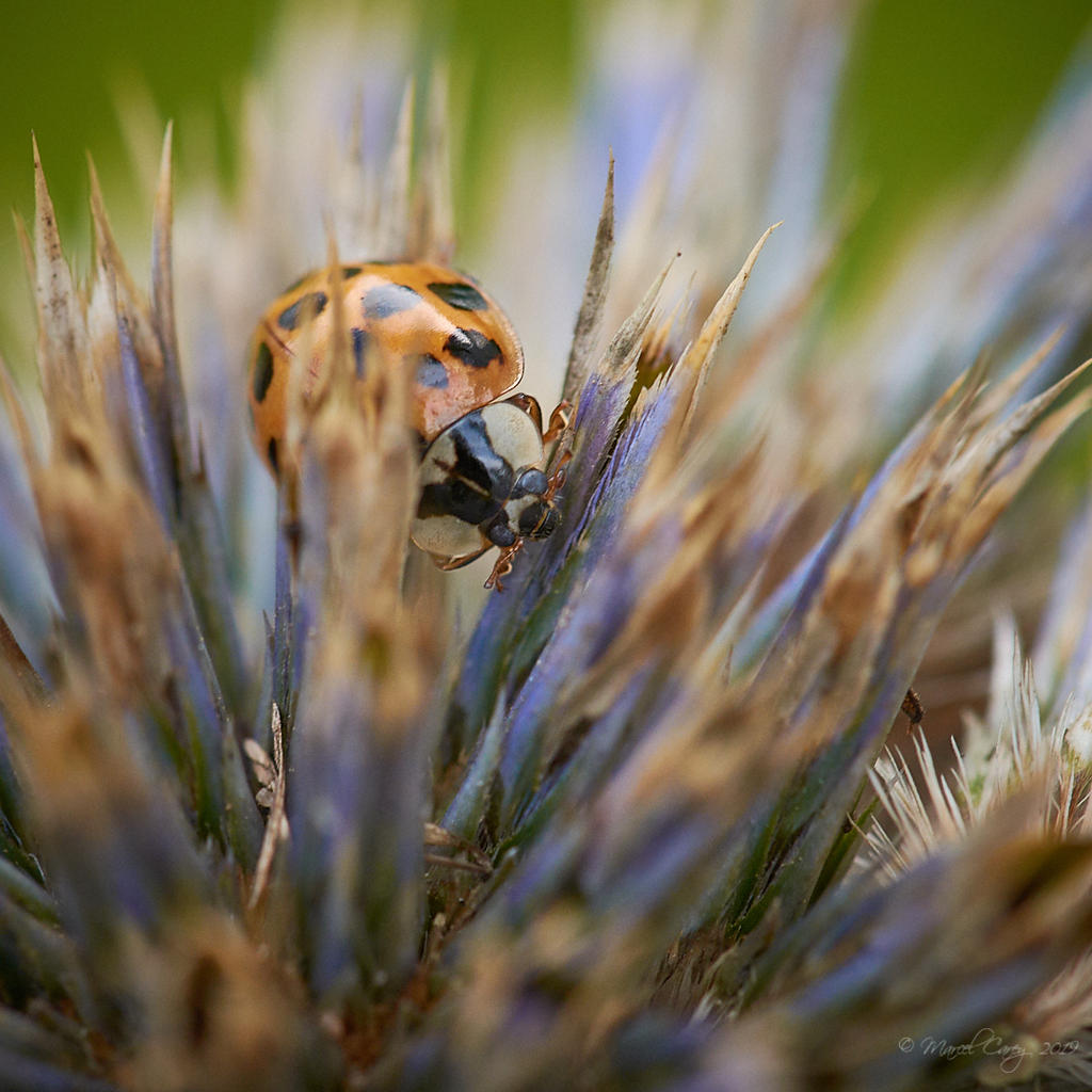 D72_8603 1.jpg