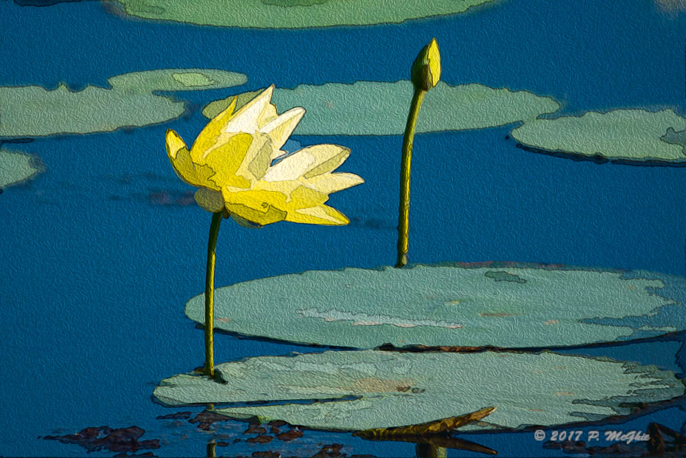 D73_0981-Edit.jpg