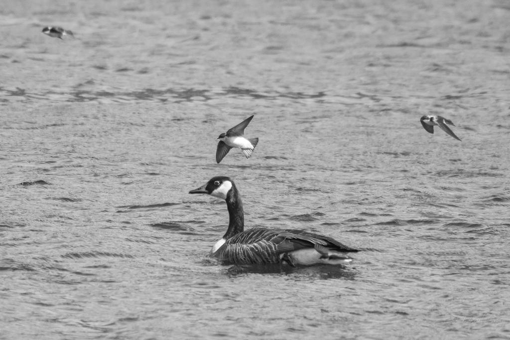 D73_1039.jpg