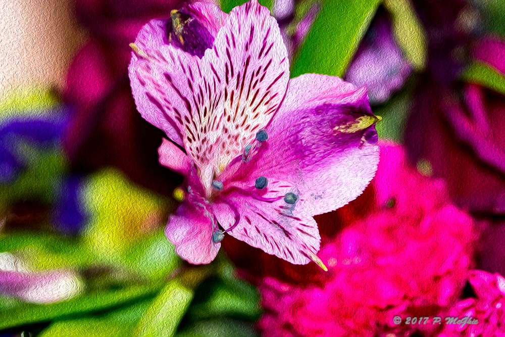 D73_1118-Edit.jpg