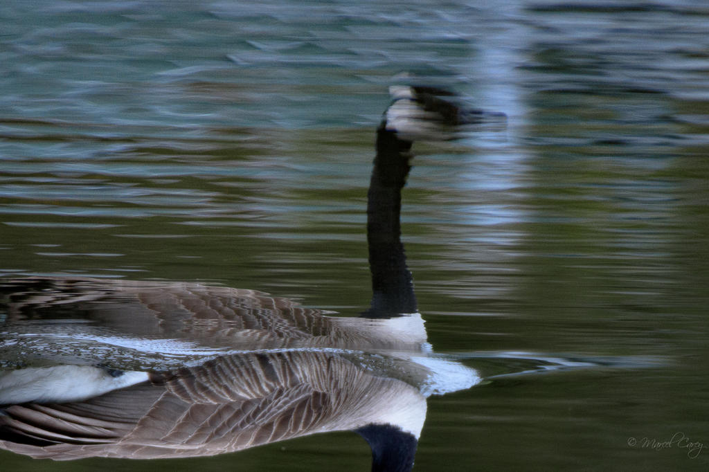 D73_1545-2.jpg