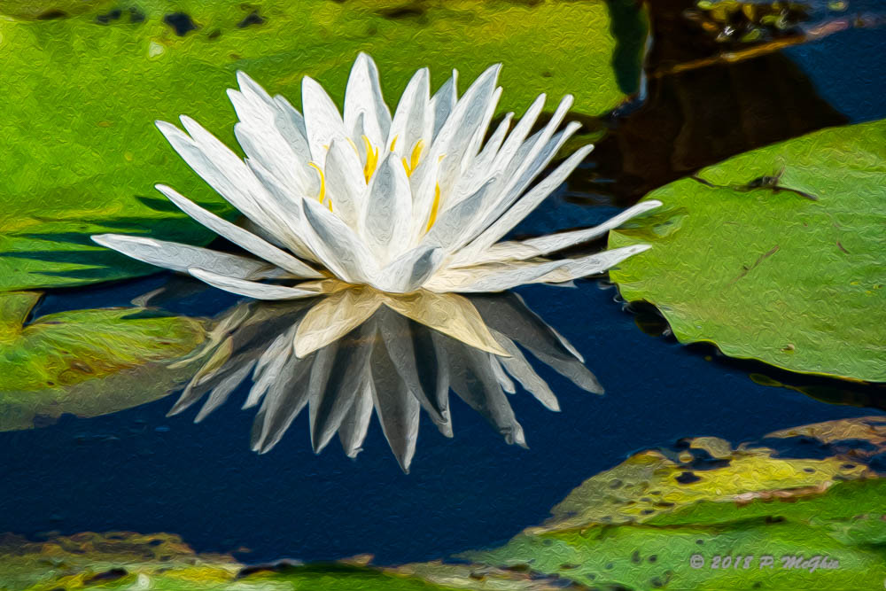 D73_1933-Edit.jpg