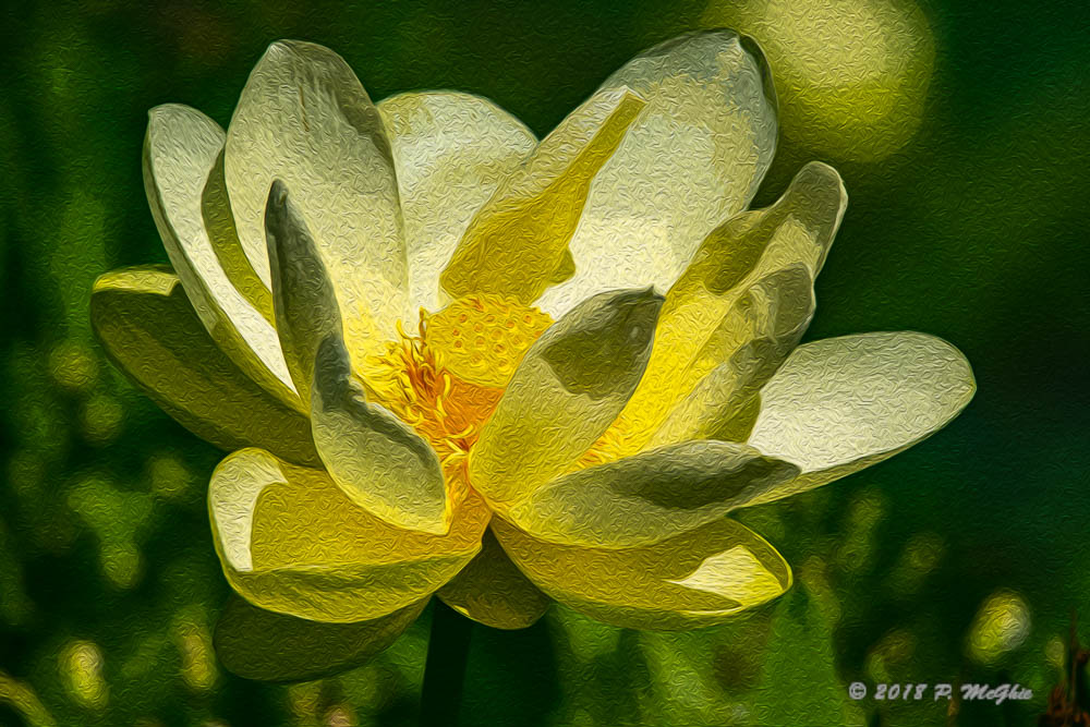 D73_1976-Edit.jpg