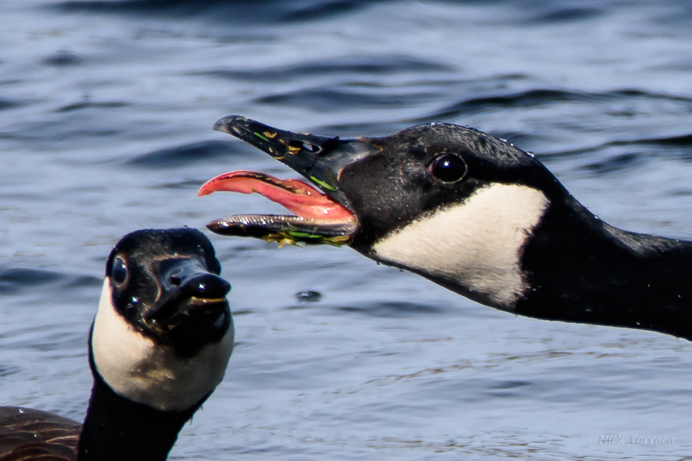 D73_2204-2.jpg