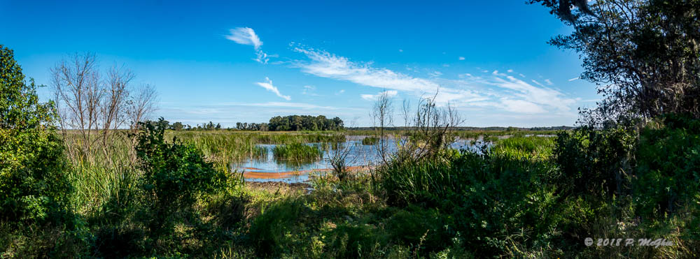 D73_2326-Pano-Edit.jpg