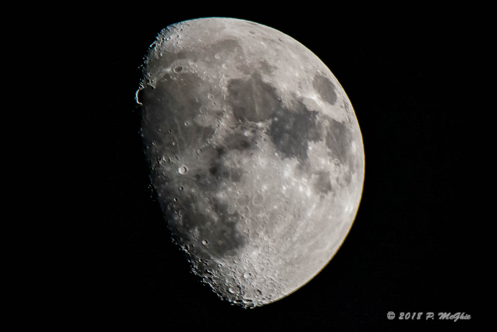 D73_2513.jpg