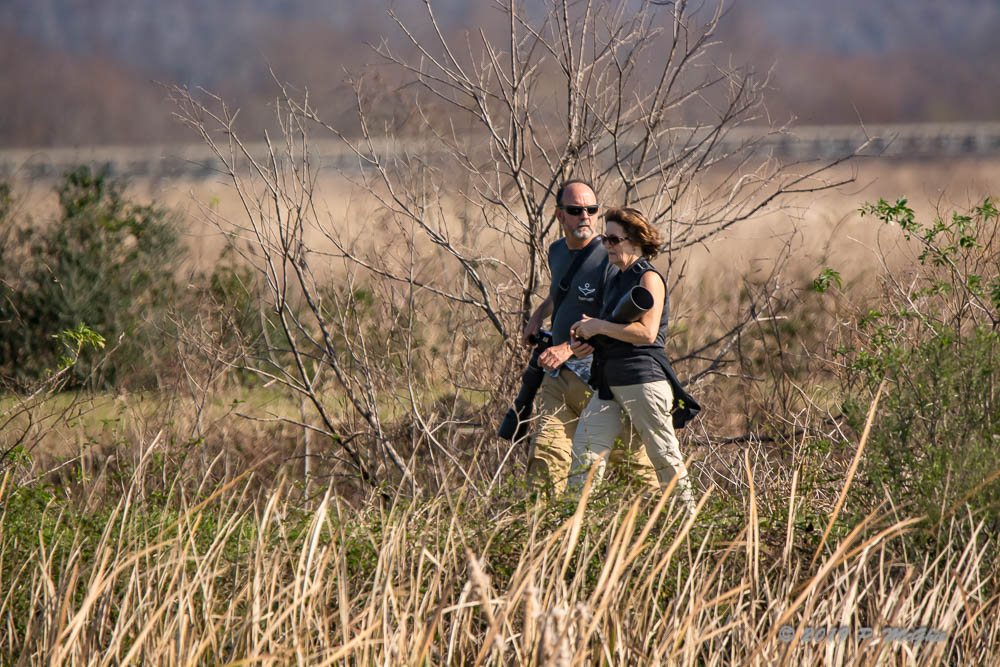 D73_2565.jpg