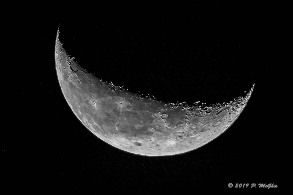 D73_2896-Edit.jpg