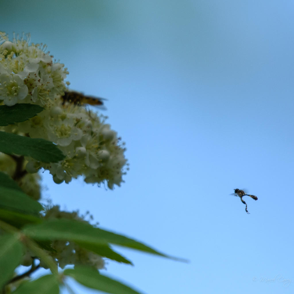 D73_3059.jpg