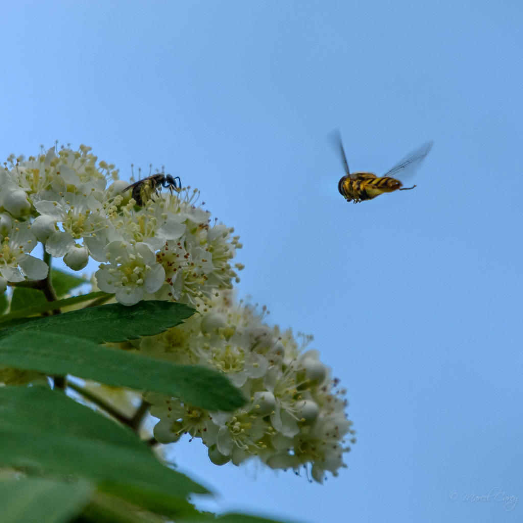 D73_3063.jpg