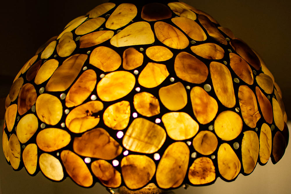 D73_3255.jpg