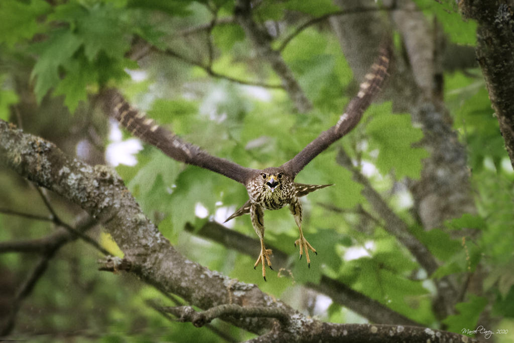 D73_3340.jpg