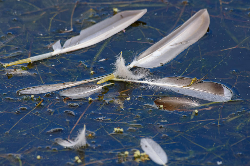 D73_3822.jpg