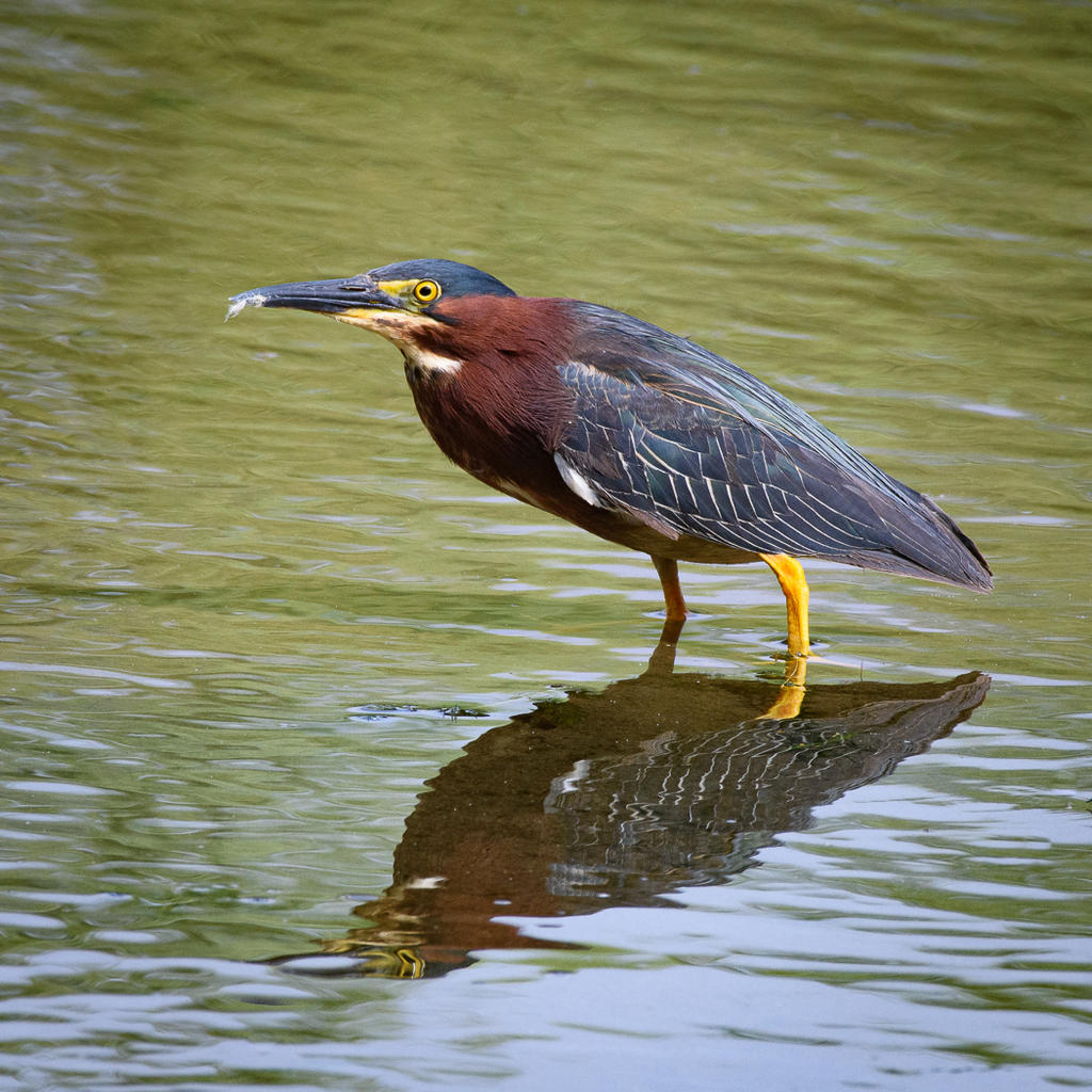 D73_3826.jpg