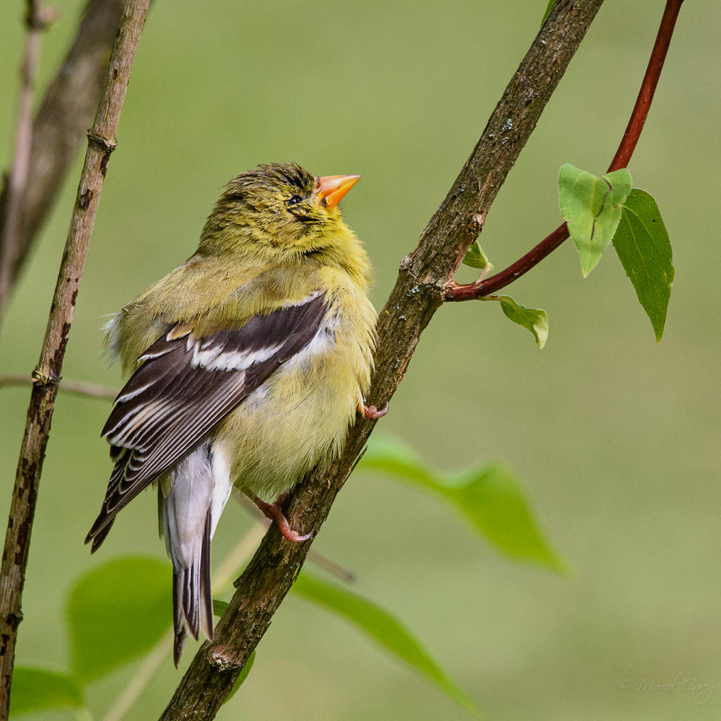 D73_3995.jpg