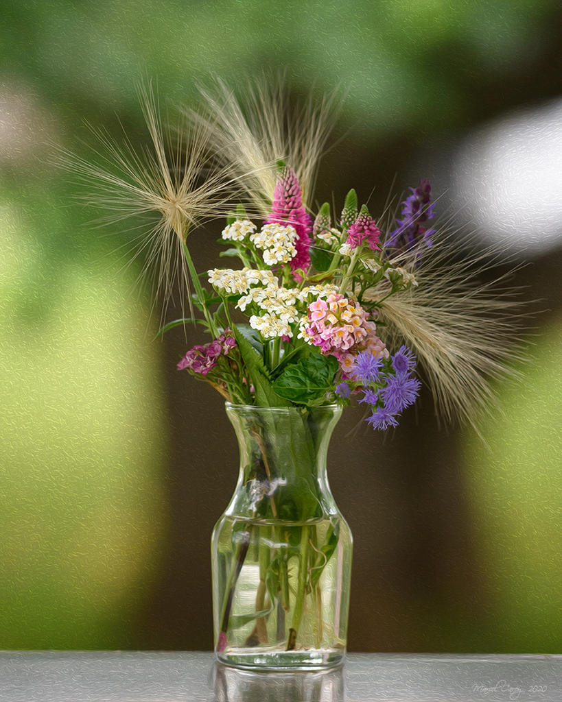 D73_4061-Modifier.jpg