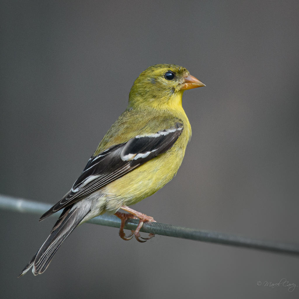 D73_4076.jpg