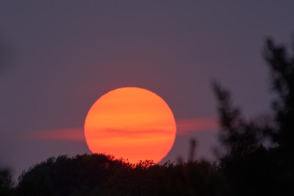 D73_4735.jpg
