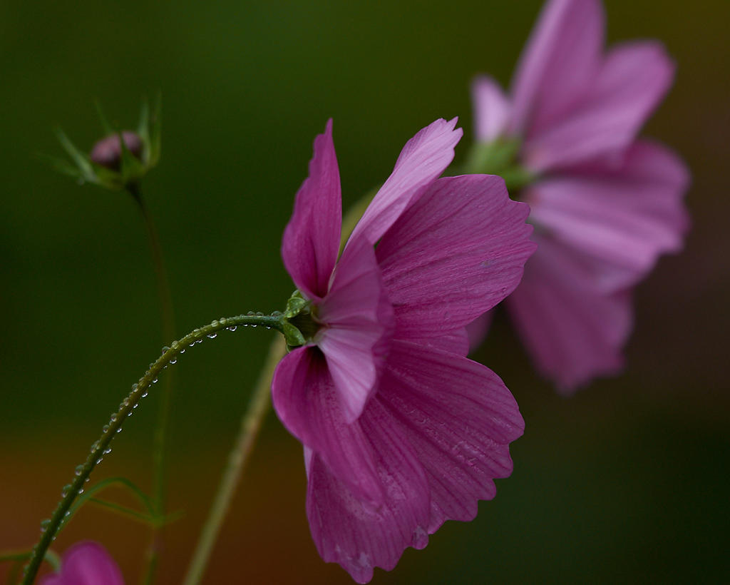 D73_4746 1.jpg