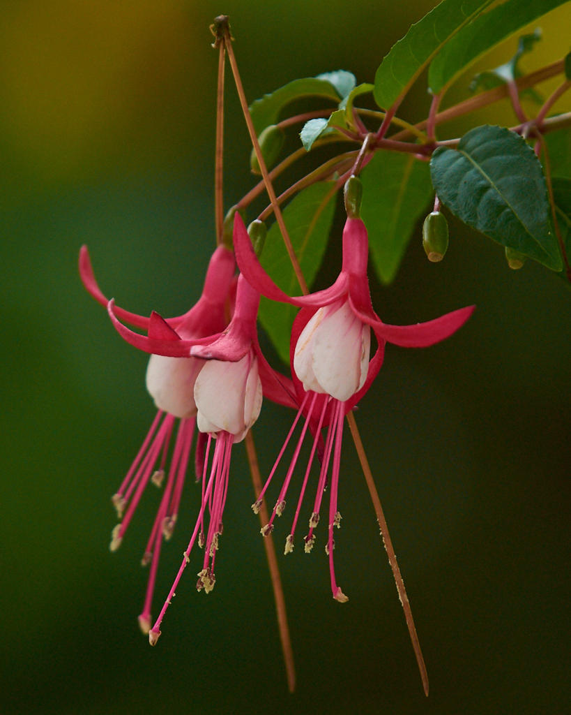 D73_4754.jpg