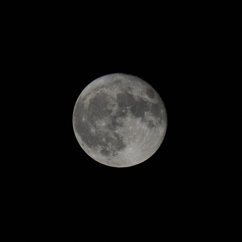 D73_4795.jpg