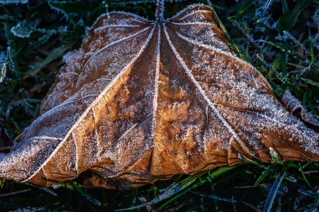 D73_4915.jpg
