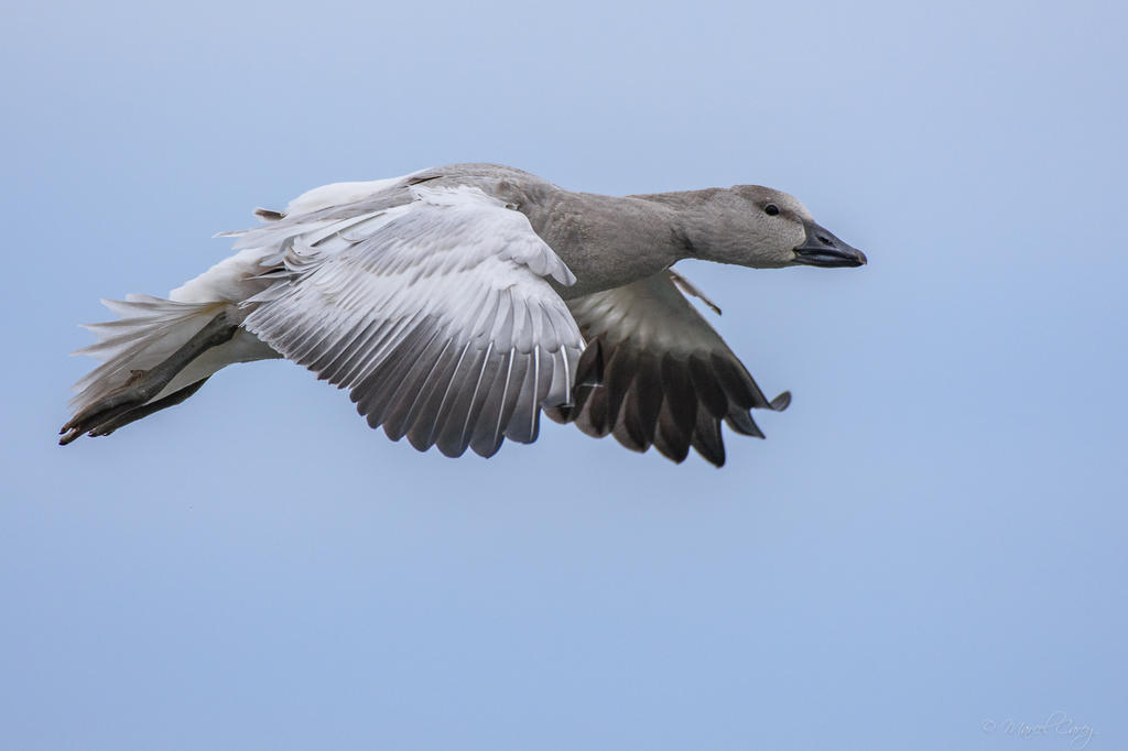 D73_5015.jpg