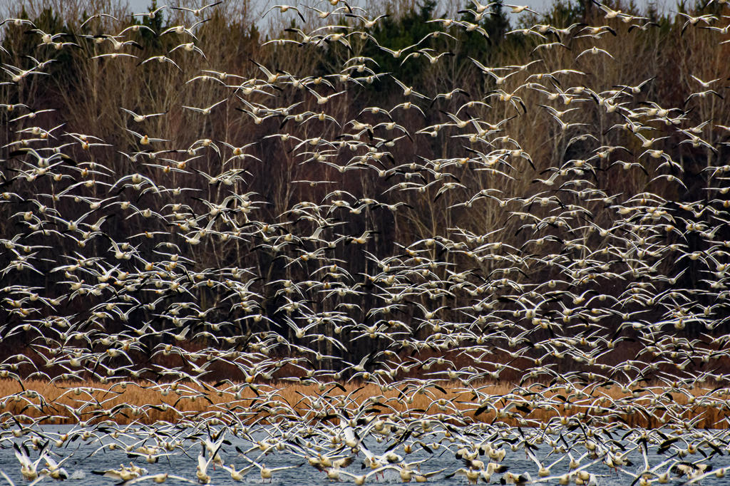 D73_5656-2.jpg