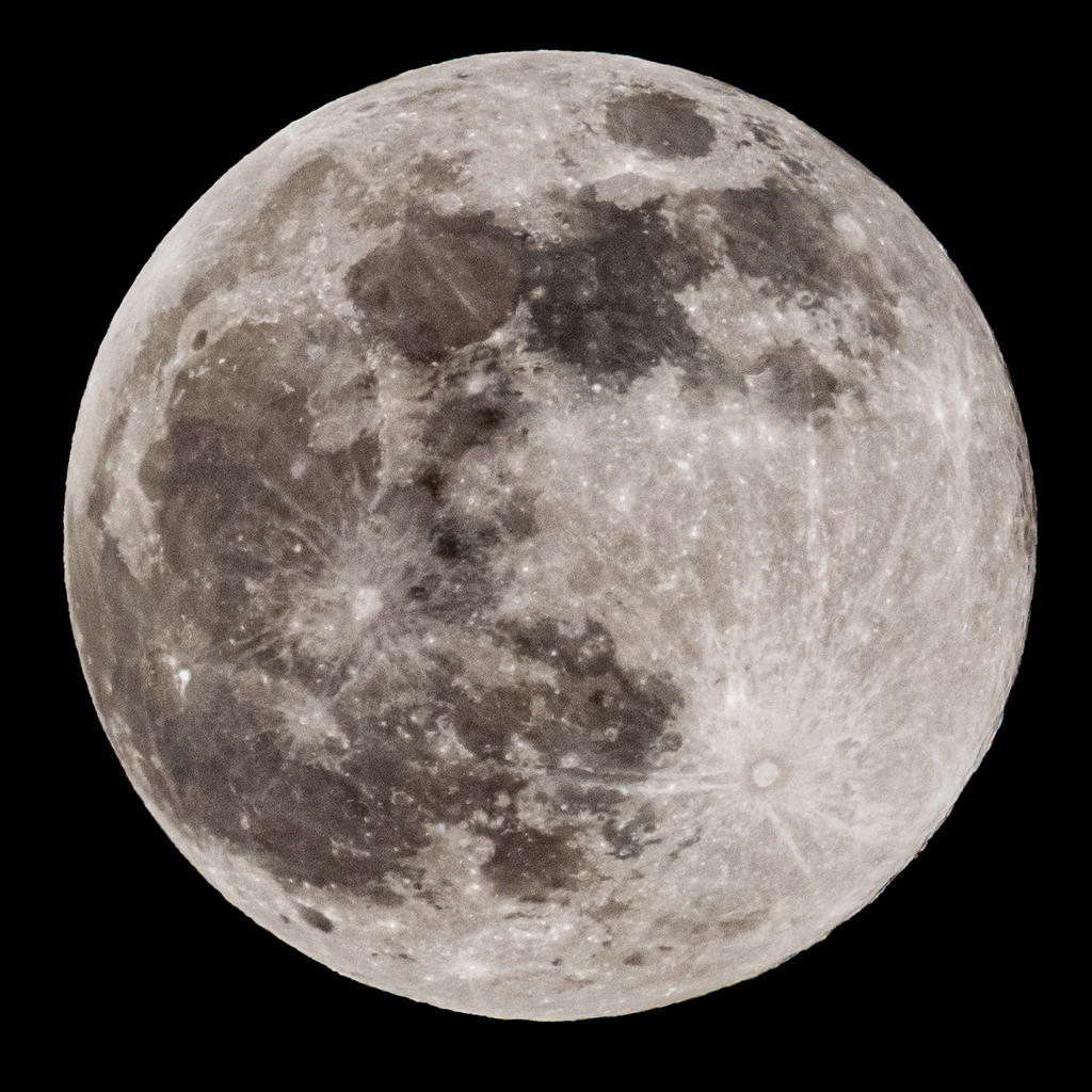 D75_5452.jpg