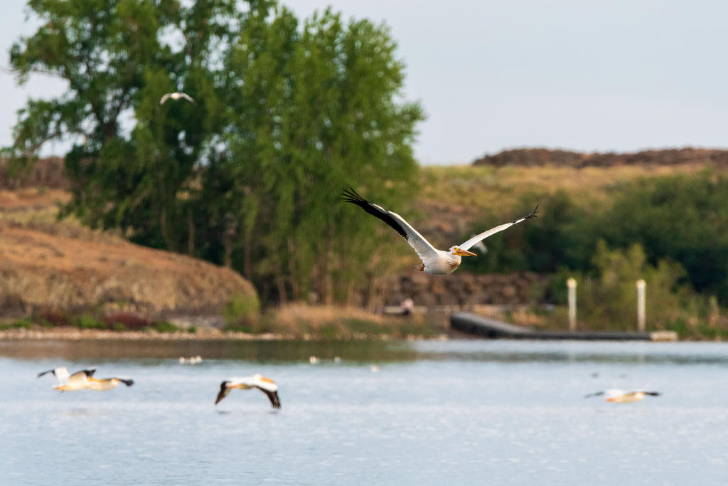 D75_6043.jpg